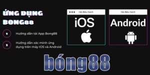 Sử dụng android 8.1hoặc IOS 9