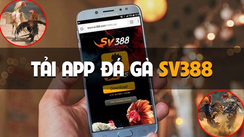 Chi tiết thao tác tải App Sv388 về điện thoại Android